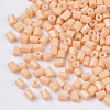 8/0 Two Cut Glass Seed Beads SEED-S033-06A-04-2