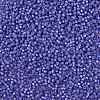 MIYUKI Round Rocailles Beads SEED-X0055-RR0649-3