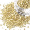 Round Glass Seed Beads SEED-A007-3mm-162-1