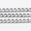 Non-Tarnish 3.28 Feet 304 Stainless Steel Curb Chains X-CHS-H016-01P-10M-1