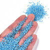 12/0 Glass Seed Beads SEED-A016-2mm-211-5