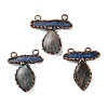 Natural Kyanite & Labradorite Big Pendants G-A227-04R-1