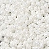 6/0 Glass Seed Beads SEED-M012-01A-16-3