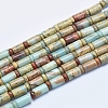 Natural Aqua Terra Jasper Beads Strands G-E444-18-1