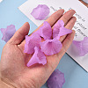 Transparent Acrylic Beads BSF796-C08-7