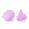 Transparent Acrylic Beads BSF796-C08-2