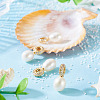 4Pcs Natural Cultured Freshwater Pearl Pendants PALLOY-TAC0178-5