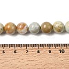 Natural Green Quartz Round Beads Strands G-Z127-A01-10mm-5