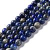 Natural Lapis Lazuli Beads Strands G-G099-8mm-7B-1