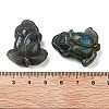 Natural Labradorite Carved Cabochons G-C152-08-3