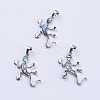 Abalone Shell/Paua Shell Pendants SSHEL-L008-08P-1
