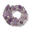 Natural Amethyst Beads Strands G-B078-D12-02-3