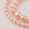 Natural Cultured Freshwater Pearl Graduated Beads Strands PEAR-G007-05B-3