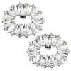 Alloy Rhinestone Shoe Decoration FIND-GF0006-01C-P-1