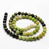 Natural Serpentine Beads Strands G-N0170-002-6mm-2