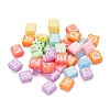 240Pcs 8 Colors Opaque Acrylic Multi-Strand Links MACR-YW0001-45-5