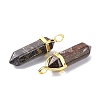 Natural Bronzite Pointed Pendants G-G025-01G-14-3