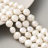 Natural Cultured Freshwater Pearl Beads Strands PEAR-A006-09H-X-1