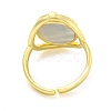 Natural Paua Shell Oval Open Cuff Ring RJEW-H220-05G-3