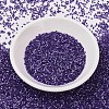 MIYUKI Delica Beads SEED-JP0008-DB1810-2