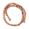 Natural American Turquoise Beads Strands G-S369-001B-B05-2
