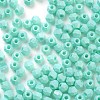 Baking Paint Glass Seed Beads SEED-A032-02C-3