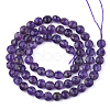 Natural Amethyst Beads Strands G-T108-05-2