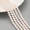 Glass Pearl Beads Strands HY-G002-01C-03-2