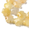 Natural Topaz Jade Beads Strands G-K357-C01-01-4