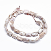 Electroplate Natural Sunstone Beads Strands G-K256-19A-02-2