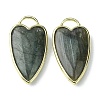 Natural Labradorite Pendants G-O204-02F-1