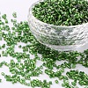 Two Cut Glass Seed Beads CSDB27-1