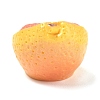 Opaque Resin Imitation Fruit Cabochons RE-CBA068D-03B-01-3