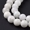 Natural Rainbow Moonstone Beads Strands G-I249-B04-01-6