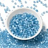 Glass Seed Beads SEED-H002-D-A811-2