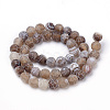 Natural Weathered Agate Beads Strands X-G-S259-05G-10mm-2