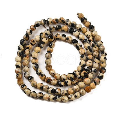 Natural Dalmatian Jasper Beads Strands G-Z068-B07-01-1