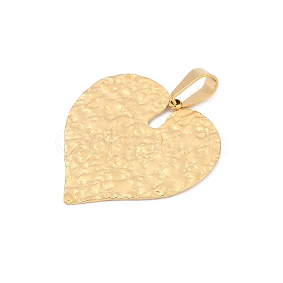 304 Stainless Steel Pendants FIND-H017-01B-G-1
