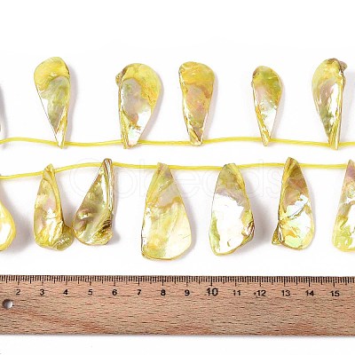AB Color Plated Dyed Natural Freshwater Shell Beads Strands X-SHEL-T020-55D-1