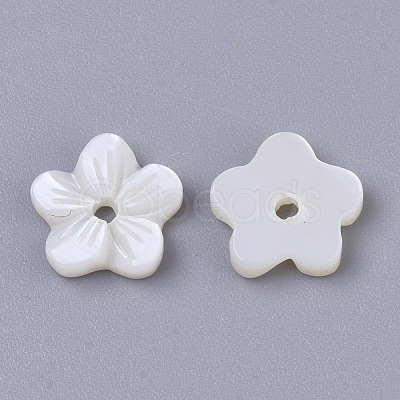 Natural Freshwater Shell Beads SHEL-T017-04-1