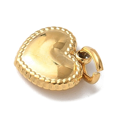 304 Stainless Steel Charms STAS-G352-07G-1