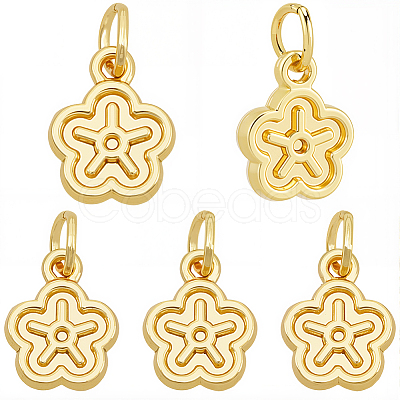 30Pcs Alloy Charms FIND-BBC0004-81-1