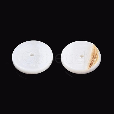 Natural Freshwater Shell Beads Strands SHEL-N037-03B-01-1