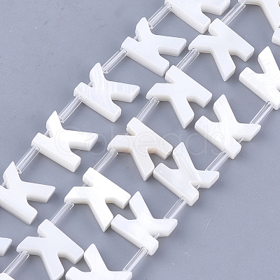 Freshwater Shell Beads X-SHEL-T012-59K-1