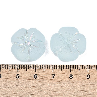 Frosted Transparent Acrylic Beads LS-OACR-P029-19B-06-1