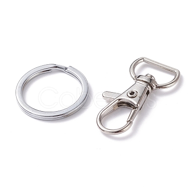 Alloy and Iron Keychain Clasps PALLOY-XCP0001-70-1