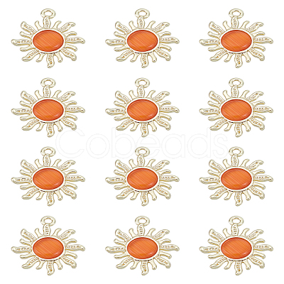 12Pcs Golden Alloy Pendants FIND-LP0002-23-1