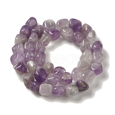 Natural Amethyst Beads Strands G-B078-D12-02-1