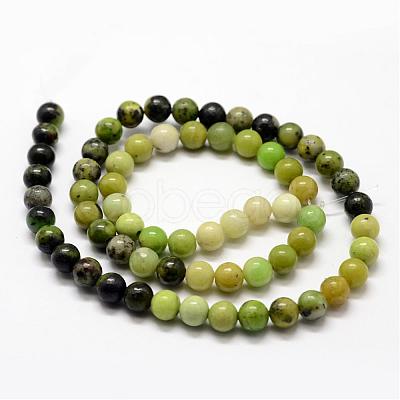 Natural Serpentine Beads Strands G-N0170-002-6mm-1
