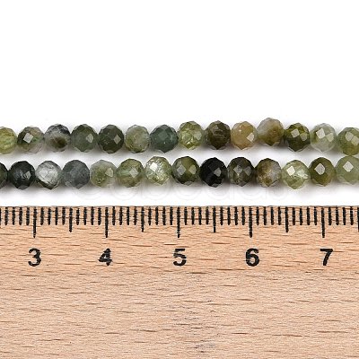 Natural Green Tourmaline Beads Strands G-F798-A03-02-1